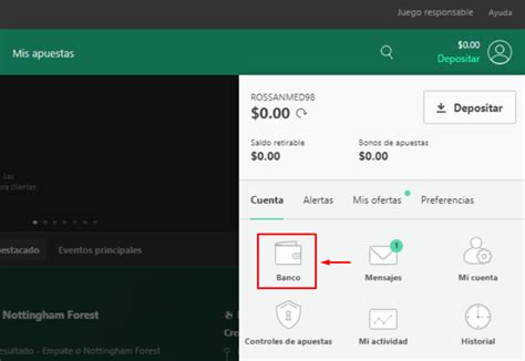 retirar saldo bet365|Cómo retirar dinero de Bet365: Consejos y requisitos .